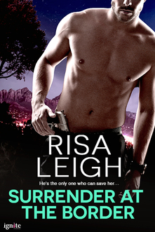 surrender at the border book cover